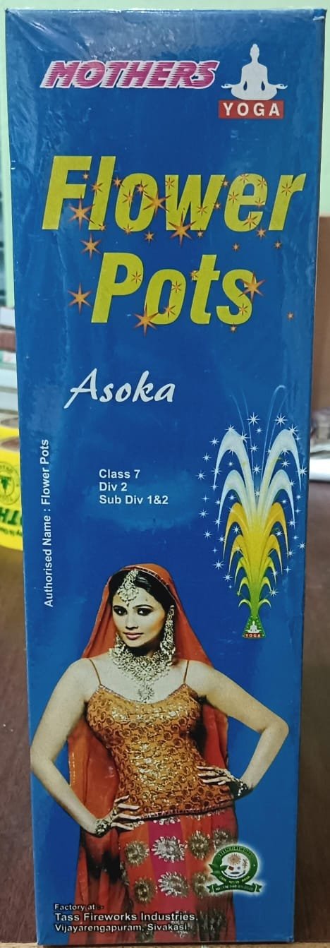 Flower Pots Ashoka